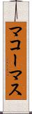 マコーマス Scroll