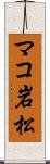 マコ岩松 Scroll