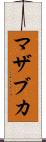 マザブカ Scroll