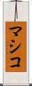 マシコ Scroll