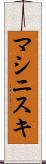 マシニスキ Scroll