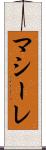 マシーレ Scroll