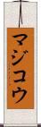 マジコウ Scroll