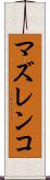 マズレンコ Scroll
