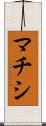 マチシ Scroll