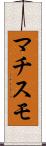 マチスモ Scroll