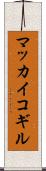 マッカイコギル Scroll