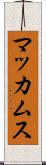 マッカムス Scroll