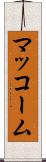 マッコーム Scroll