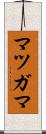 マツガマ Scroll