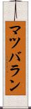 マツバラン Scroll