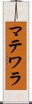 マテワラ Scroll