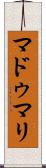 Madumali Scroll