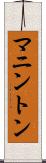 マニントン Scroll