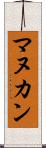マヌカン Scroll