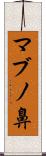 マブノ鼻 Scroll