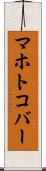 マホトコバー Scroll