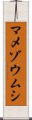 マメゾウムシ Scroll