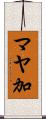 マヤ加 Scroll