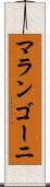 マランゴーニ Scroll
