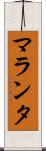 マランタ Scroll