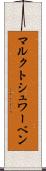 マルクトシュワーベン Scroll