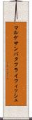 マルケサンバタフライフィッシュ Scroll