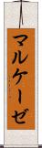 マルケーゼ Scroll