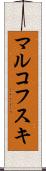 マルコフスキ Scroll
