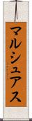 マルシュアス Scroll