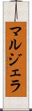 マルジェラ Scroll