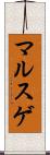 マルスゲ Scroll
