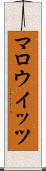 マロウイッツ Scroll