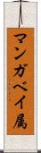 マンガベイ属 Scroll