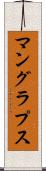 マングラプス Scroll