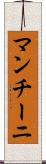 マンチーニ Scroll