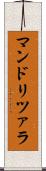 マンドリツァラ Scroll