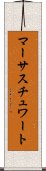 マーサスチュワート Scroll