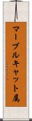 マーブルキャット属 Scroll