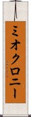 ミオクロニー Scroll