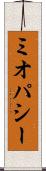 ミオパシー Scroll