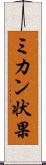 ミカン状果 Scroll