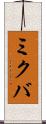ミクバ Scroll