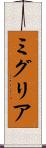 ミグリア Scroll