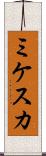ミケスカ Scroll