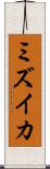 ミズイカ Scroll