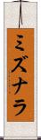 ミズナラ Scroll