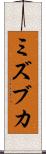 ミズブカ Scroll