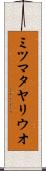 ミツマタヤリウオ Scroll