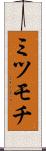 ミツモチ Scroll